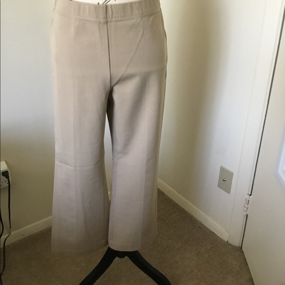 Ann Taylor Women’s Pants